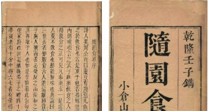 袁枚在其著作《随园食单》中记载了“沭邑西”的豆腐与千张，成为指代沭阳直接证明