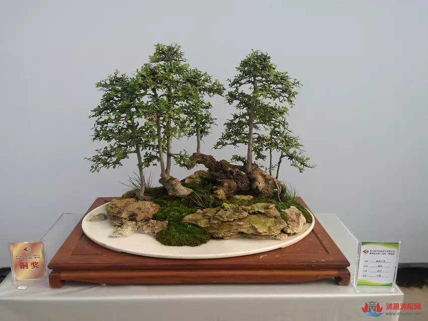 psc (8).jpg