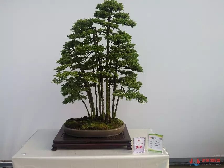 psc (9).jpg